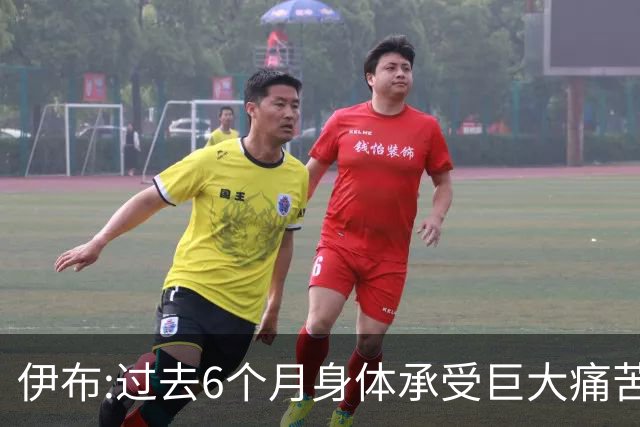 伊布:过去6个月身体承受巨大痛苦 只为帮球队夺冠