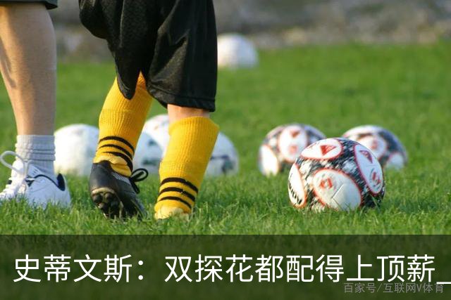 史蒂文斯：双探花都配得上顶薪 坚信他俩能携手为绿军再次夺冠
